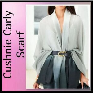 Cushnie Carly Ombre Print Scarf/Cover up  NWT GIFTABLE